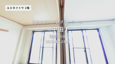 動画