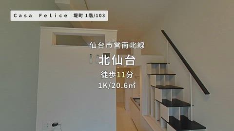 動画