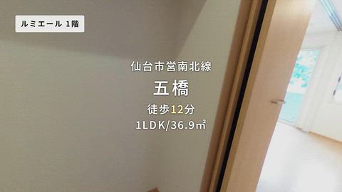 動画