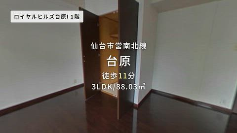 動画