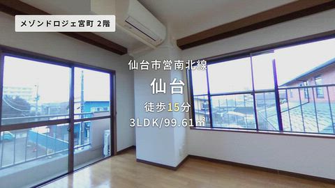 動画