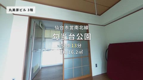 動画