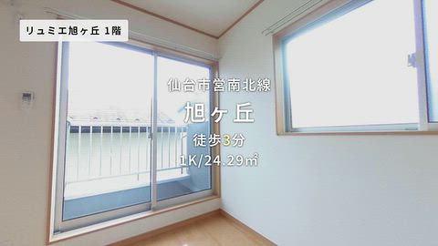 動画