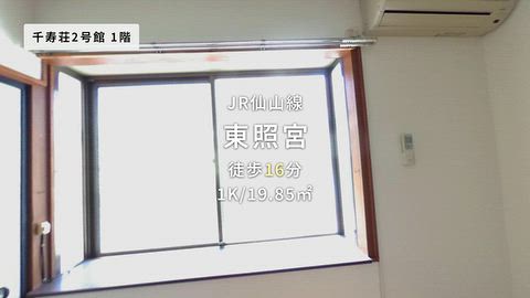 動画