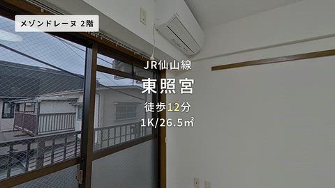 動画