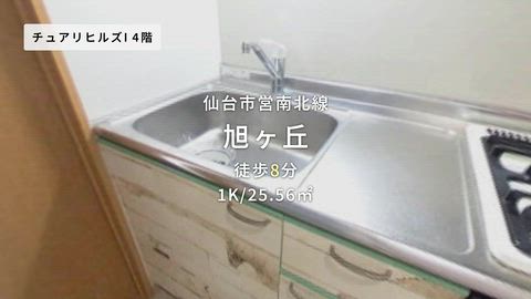 動画