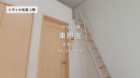 動画