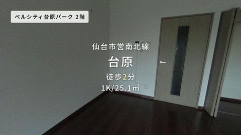 動画