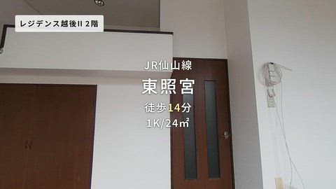 動画