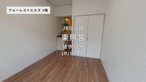 動画