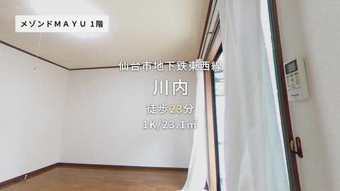 動画