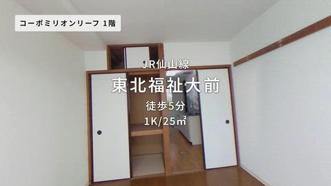 動画