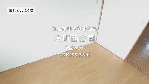 動画