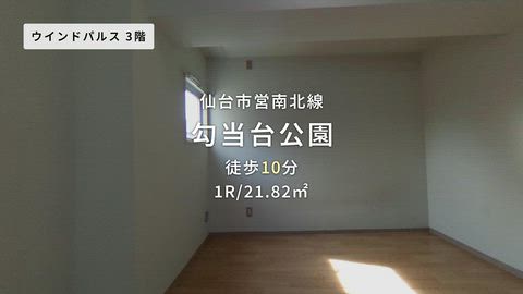 動画