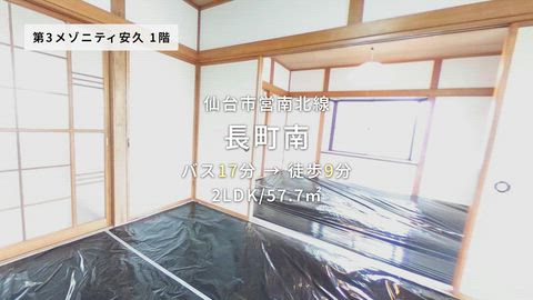 動画