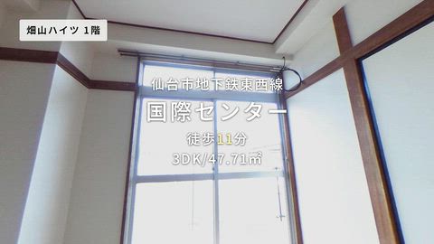 動画