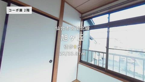 紹介ムービー