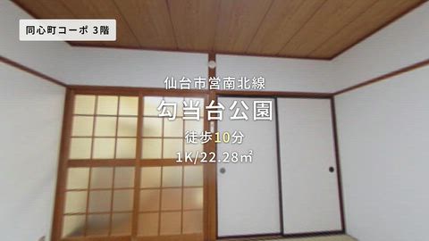 動画