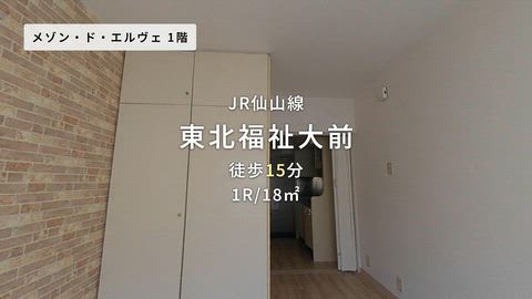 動画
