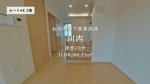 動画
