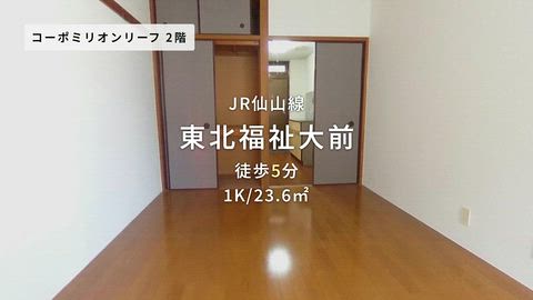 動画