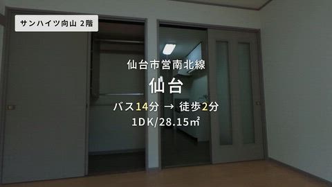 動画