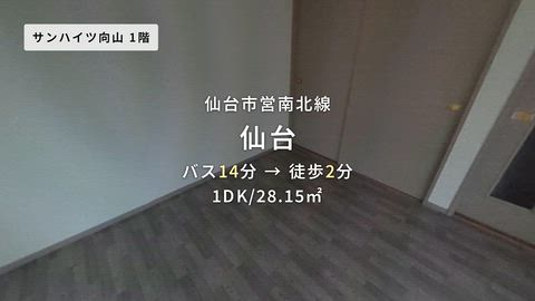 動画