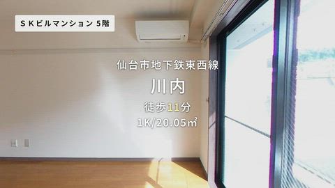 動画