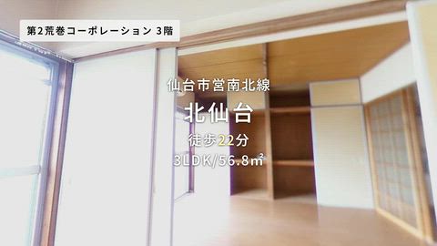 動画