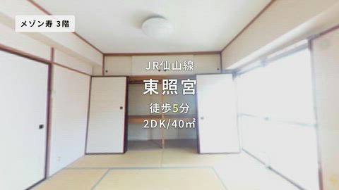 動画
