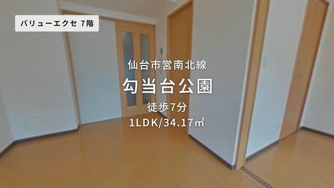 動画