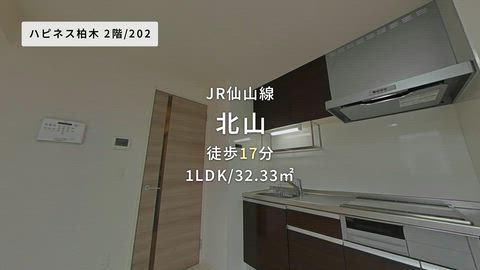動画