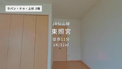 動画