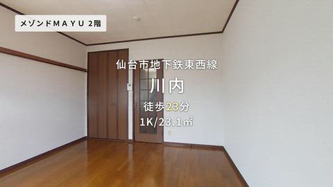 動画