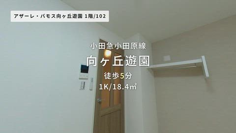 動画