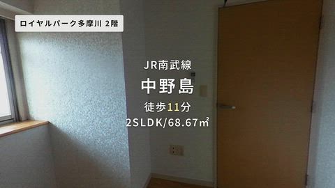 動画
