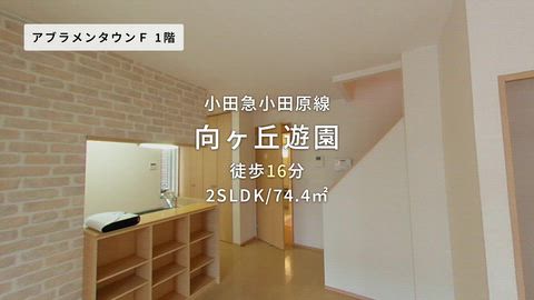 動画