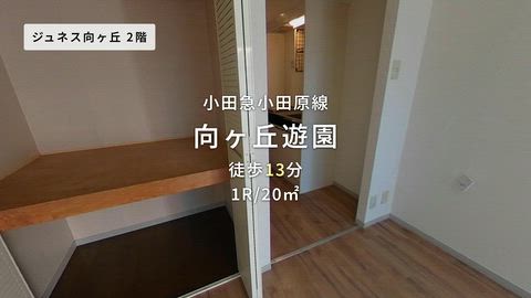 動画
