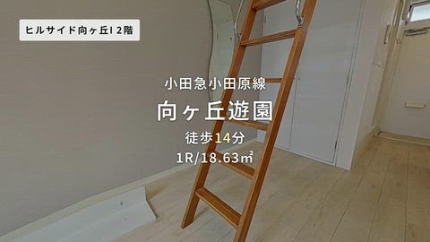 動画