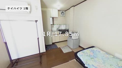 動画