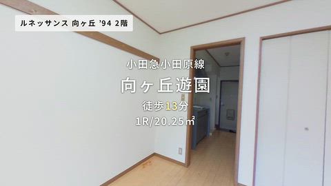 動画
