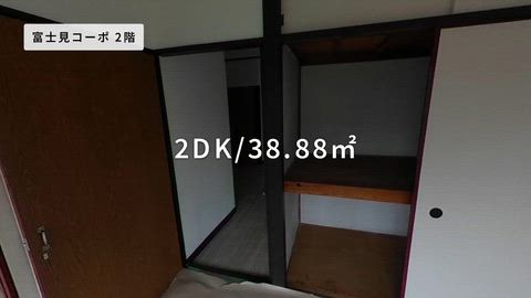 動画