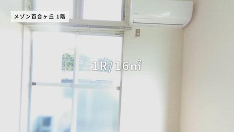 紹介ムービー
