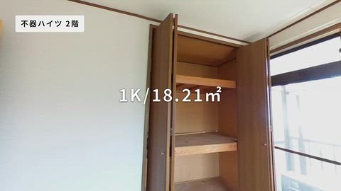 動画