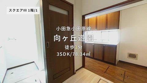 紹介ムービー