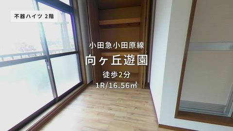 動画