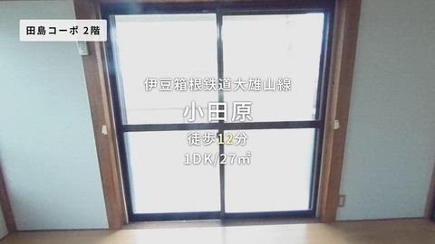 動画