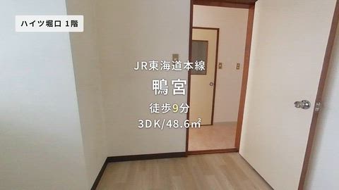 動画