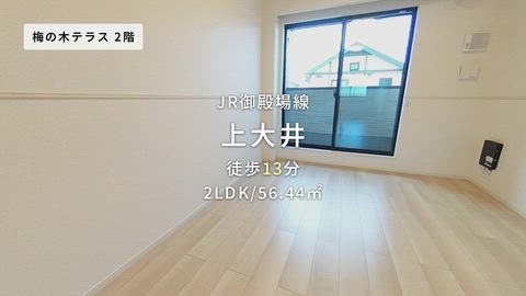 紹介ムービー