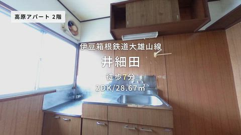 動画